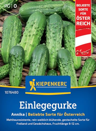 Kiepenkerl Einlegegurkensamen Annika F1 1076480, Gemüsesaat | Knackige Gurkensamen für Beet & Gewächshaus, Mehltauresistent, Gurkenpflanzen, Wuchshöhe 30-200 cm