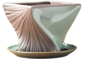 DFGHNBVC Pot De Fleurs Simple en Céramique, 9,5 X 9 Cm, pour Bureau, Chlorophytum Comosum, Phalaenopsis