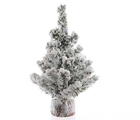 Snowy Toronto Mini-Weihnachtsbaum, 20 cm hoch, Grün