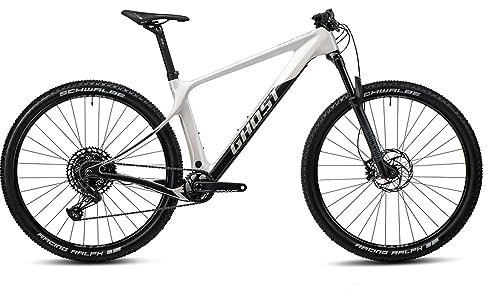 Ghost Lector LC Mountainbike (29 | hellgrau/schwarz)