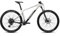 Ghost Lector LC Mountainbike (29 | hellgrau/schwarz)