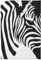 EVIUS Dekoratives Zebra-Gemälde für Wand, modern, klassische Kunst, Vintage-Poster, Leinwanddruck, Gemälde, für Esszimmer, Schlafzimmer, Wohnzimmer, Hotel, Café, Dekoration (20 x 30 cm)