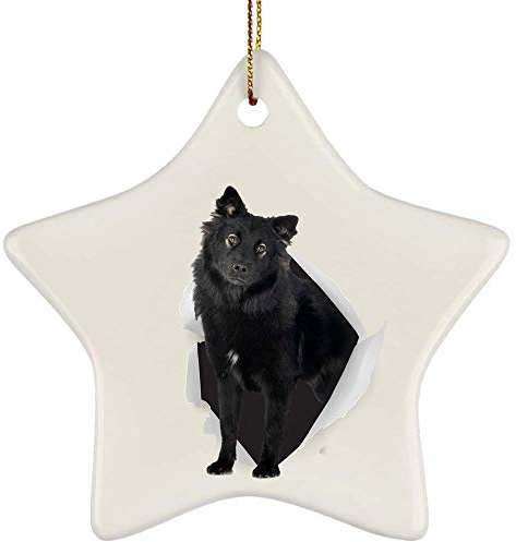 Christbaumschmuck Keramik Weihnachtsbaum Deko Mit Hanfseil Weihnachtsbaumschmuck Lustiger Finnischer Lapphund-Schwarzer, Der Aus Einer Rissigen Wand Kommt