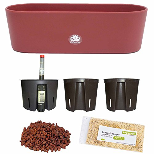 Set7 7 teilig Kunststoff Flori Pflanzschale bordeaux für Hydrokultur L 36.0 cm B 13.5 cm H 11.0 cm