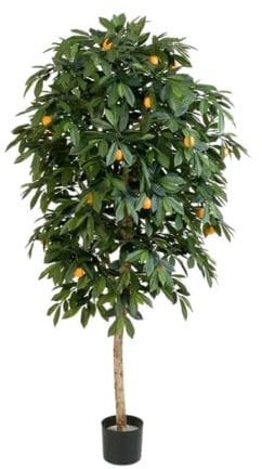 aplanta Künstlicher Orangenbaum - Pius | 170 cm, Echtholzstamm, für drinnen, Kunstbaum, wie echt, Allergiker geeignet, pflanzliche Dekoration Praxis, Office & Wohnzimmer