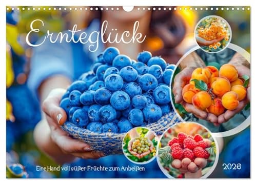 Ernteglück - Eine handvoll süßer Früchte zum Anbeißen (Wandkalender 2026 DIN A3 quer), CALVENDO Monatskalender: Ein Fest der Aromen, Farben und ... ihre Schätze preisgeben (CALVENDO Lifestyle)
