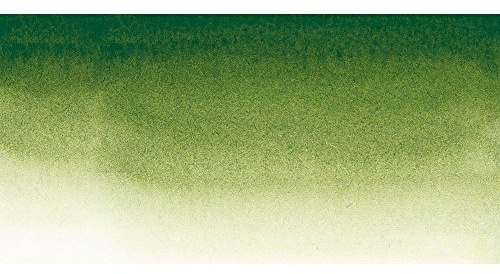 Sennelier Watercolour 10ml Tube S1 - Sap Green (819)