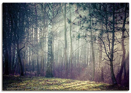 ARTLAND Wanddeko Leinwand Bilder Wandbild 100x70 cm Querformat Landschaft Wald Natur Bäume Sonnenstrahlen Herbst Sonne U1TE
