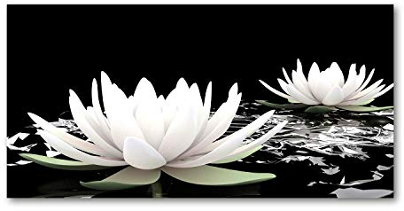 Tulup Splashback 39.37x19.68 inch / 100x50cm Splash-back Kitchen Panel Toughened Safe Glass Tempered Glass Kitchen Protection Induction Cooker Wall Protection Glass Panel - White - water lilies