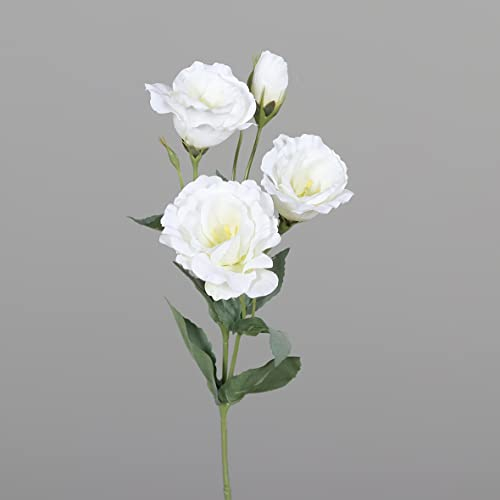 Seidenblumen Roß Lisianthus/Eustoma 54cm DP Kunstblumen künstliche Blumen Japanrose Lysianthus (Weiß)