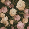Papier peint fleuri fond noir vintage | Tapisserie motif floral chambre adulte & salon | Papier peint intissé grosses fleurs couloir | Papier peint livré à domicile