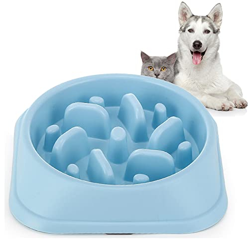 Vealind Slow Feeder Dog Bowls for Medium & Small Dogs, Slowing Down Eating Speed Preventing Obesity Pet Healthy Feeding Bowl (Blue)