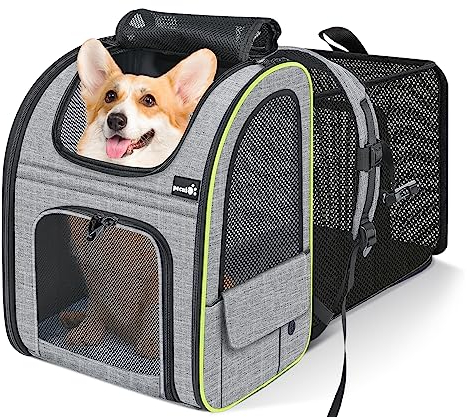 Pecute Zaino per Cani Gatti Estensibile Grandi, PortatileTrasportino per Gatti,Cuccia Portatile, Trasportino Estraibile Indicato per Viaggi Sia Lunghi Che Corti, Grigio