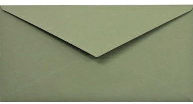 Netuno 100 Briefumschläge Oliv-Grün DIN Lang 110 x 220 mm 120g Materica Verdigris Briefkuverts farbig hochwertig B6 Briefhüllen bunt für Einladungskarten Hochzeitskarten Geburtstagskarten