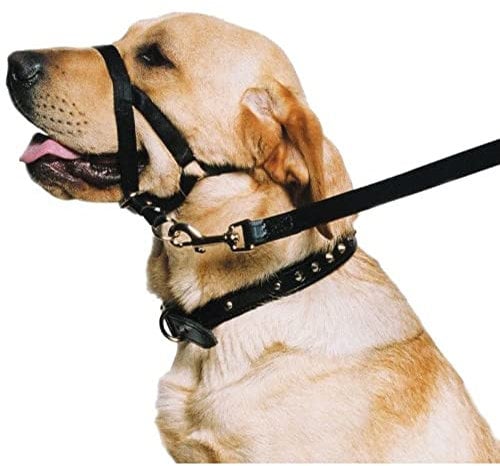 Ancol Weatherproof Nylon Dog Training Halter Head Collar - Black - Sturdy Pulling Control Pet Walking Accessory - Large