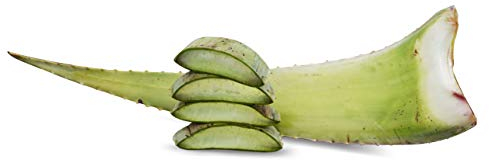 1 x Bestes Bio Aloe Vera Barbadensis Blatt, Health for All