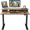 FEZIBO Electric Height Adjustable Standing Desk, 100x60cm, with Double Drawers and Storage Shelf, Rustic Brown