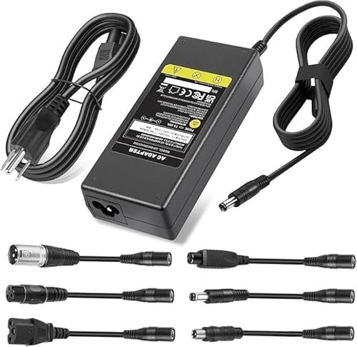 Abatinvo 42V 2A Scooter Charger for 36V 10S Li-ion Battery, Fast Charger for Razor/Jetson/Voyage, gotrax Electric Scooter, ninebot Electric