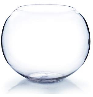 WGVI WGV Clear Round Bubble Bowl Glass Vase, 10-Inch