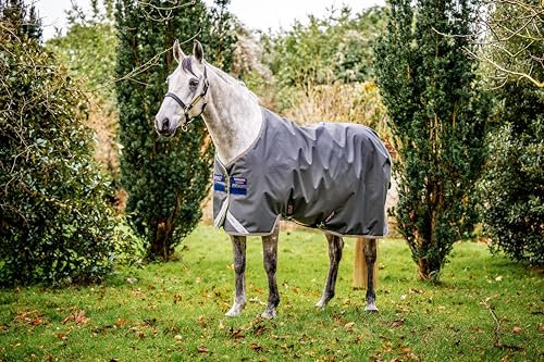 AMIGO Bravo 12 Original zu Blatt 87 Shadow/Rose