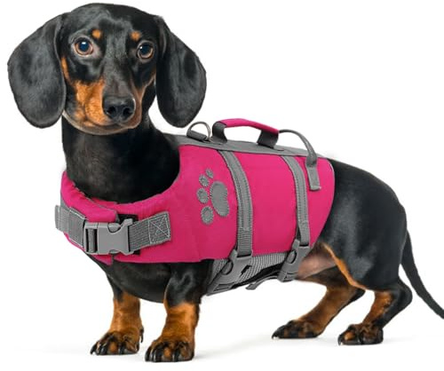 Queenmore Dachshund Life Jacket, Lightweight,Adjustable, with Rescue Handle Dring, Swimming, Safety Vest For Sausage Dog,Corgi,Beagle,French Bulldog（Fuchsia, M）