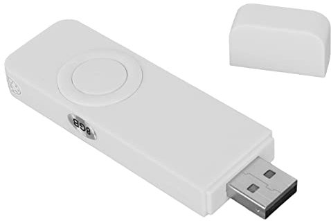 USB Stick MP3 Player, 8GB Music Player with USB Flash Drive, Portable HiFi Lossless Sound MP3 Music Player, Expandable Up to 64GB (White)