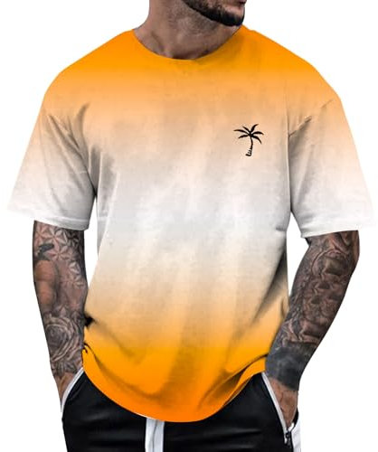 Palm-Angels - Maglietta da uomo a maniche corte sfumata, oversize, in cotone, girocollo, estiva, top sportivo a maniche corte, sport, fitness, abbigliamento estivo, maglietta da uomo, J, XXL