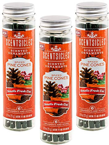 Scentsicles Duftschmuck mit Haken, Kiefernholz, 3 Flaschen (18 Stäbchen)