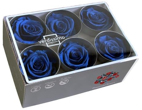 Générique VERDISSIMO Rose Stabilisée Bouton X6 / diametre de 5cm (Bleu)