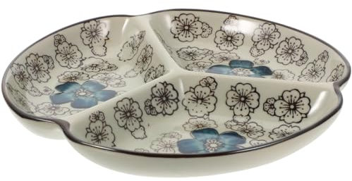 Ciieeo Divided Serving Dishes Ceramic Food Plate for Adults Healthy Eating Portion Control Great for Camping Picnics