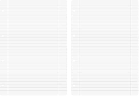 BRUNNEN Ringbucheinlagen | A4, liniert mit Randlinie innen und außen, weiß, 100 Blatt (Packung mit 2)