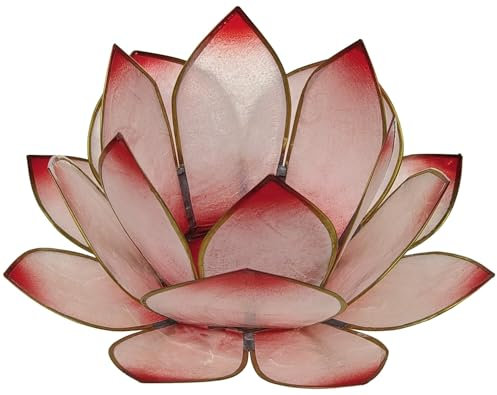 Photophore lotus - coloris rose