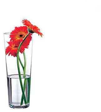 Pasabahce 43177 – Glasvase Flora, elegant, hoch, zeitlos, Höhe 26cm