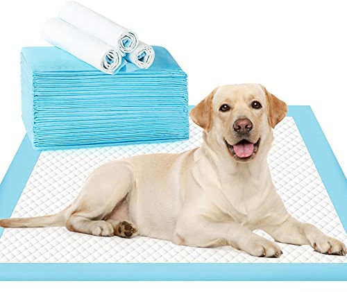 DAVEMED Puppy Pee Pads Extra Groß 61 x 91,4 cm, Indoor Töpfchen Pads für Hunde, Katzen und Kaninchen, Einweg-Haustier-Training und Piddle Pads, super saugfähig und auslaufsicher (20 Stück)