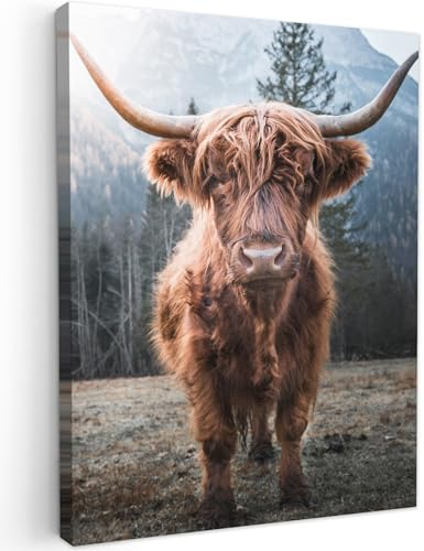 MuchoWow© Wandbilder 60x80 cm Wohnzimmer Wanddeko Schlafzimmer Zimmerdeko Fotowand Zimmer Deko Wand Dekoration Wall Art Kuh Leinwand - Schottisches Hochlandrind - Highland Cow Bild - Tiere