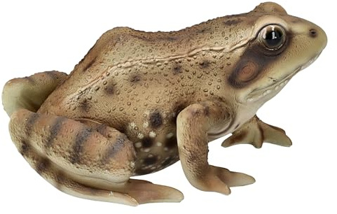 Figuren Shop GmbH Gartenfigur Frosch braun – Realistische Krötenfigur von HotAnt, 15 cm, wetterfest für Teich & Garten