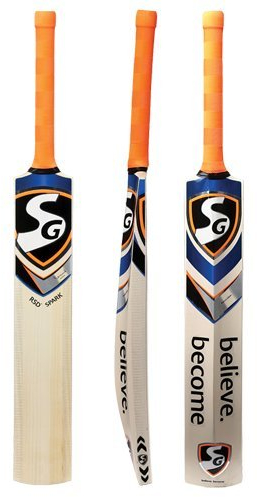 SG RSD Spark Kashmir Willow Cricket Bat, Short Handle