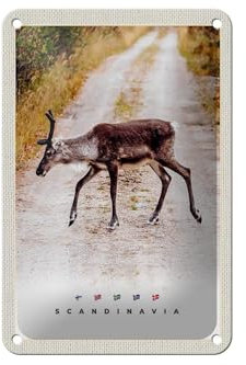 Femer Blechschild Reise 12x18cm Skandinavien Hirsch Natur Weg Urlaub Schild
