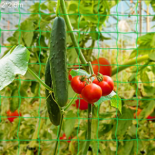 Sunshine Smile Rankhilfe Pflanzennetz 2x2.5 M, Stütznetz Gartennetz für Kletterpflanzen, Premium Ranknetz mit großer Maschenweite