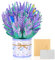 modacraft 3D Pop Up Grußkarten Lavendel, Pop Up Karte Blumen mit Umschlag Nachrichtenkarten, Popup Karte für Geburtstag Valentinstag Graduierungszeremonie Hochzeiten Muttertag Jahrestag