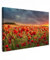 MuchoWow© Leinwand Bilder 60x40 cm Wanddeko Wohnzimmer Aesthetic Room Decor Deko Zimmer Wandbilder Modern Fotogeschenke Sonnenuntergang - Mohn - Rot - Blumen - Feld - Bild Natur