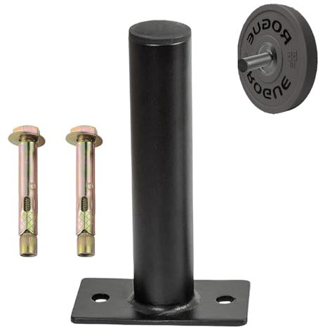 Holdes Wall Mounted Weight Plate Holder, Weight Plate Storage Wall, Gym Fitness Weight Plate Holder, 1Pc Universal Dumbbell Plate Weight Rack Storage Stand Wall Organizer, IHE4Y3U5SRJF9DZ5RVH8