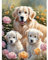 MAXBYE DIY Diamond Painting Set für Erwachsen, Süßer Hund 5D Diamant Painting Bilder Kinder, Diamond Art Painting Kit für Home Wand Décor 30x40cm
