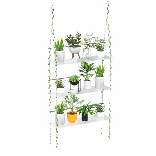 Jolitac Acryl-Fensterkästen Pflanzenregale für Fenster, Acryl Hängende Fenster Pflanzenregale Innenfenster Wandbehang Pflanzenständer Blumenregal (klar, 3 Ebenen)