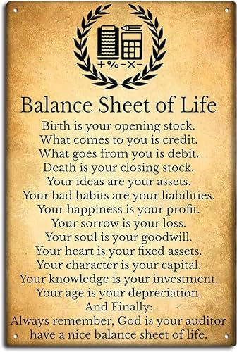 Geroclonup Vintage Blechschilder Buchhalter Buchhaltung Buchhaltung und Bilanz des Lebens Zeichen Schlafzimmer Home Living Decor Wandkunst Druck Schilder Blechschilder für Schlafzimmer - 20 x 30 cm