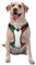Hundegeschirr mit Italienischer Flagge verstellbar, für große, mittelgroße und kleine Hunde