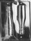Home Chocolate Factory Champagne Bottle Chocolate Mould