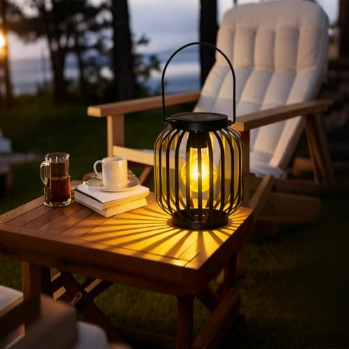 LuminKing Lanterna con lampada a LED - Alimentata da pannello solare, non sono necessarie batterie, bella luce riflettente esterna in giardino e interno in casa, impermeabile