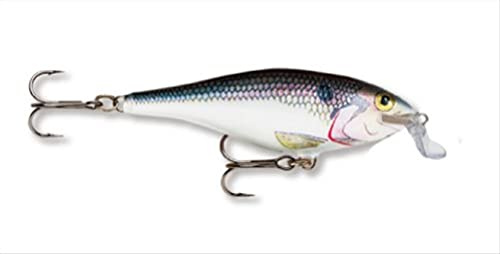 Rapala Shallow Shad Rap 07 Angelköder