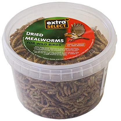 Extra Select Dried Mealworms for Wild Birds: Protein Rich Wild Bird Food for Robins to Hedgehogs - Meal Worms for Garden Birds - 500 ml